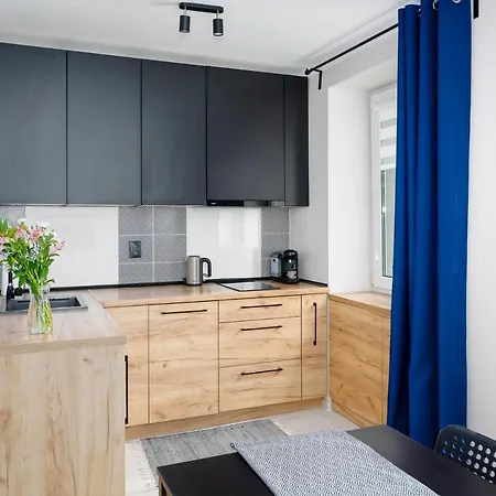 Vistula Grand Two-bedroom Ul Okrzei * Płock