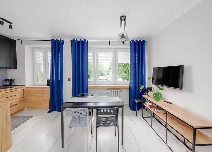 Vistula Two-bedroom Apartment Płock